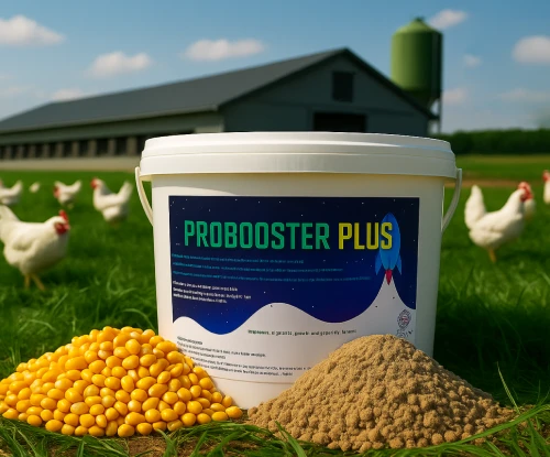 ProBooster Plus